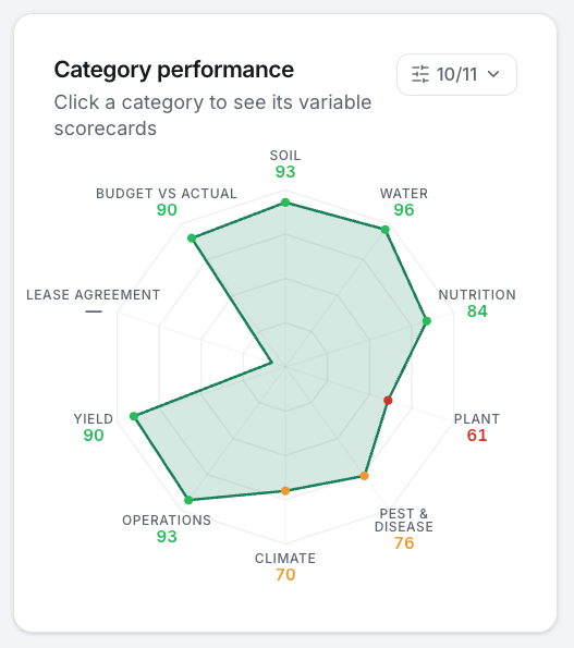 Category performance radar