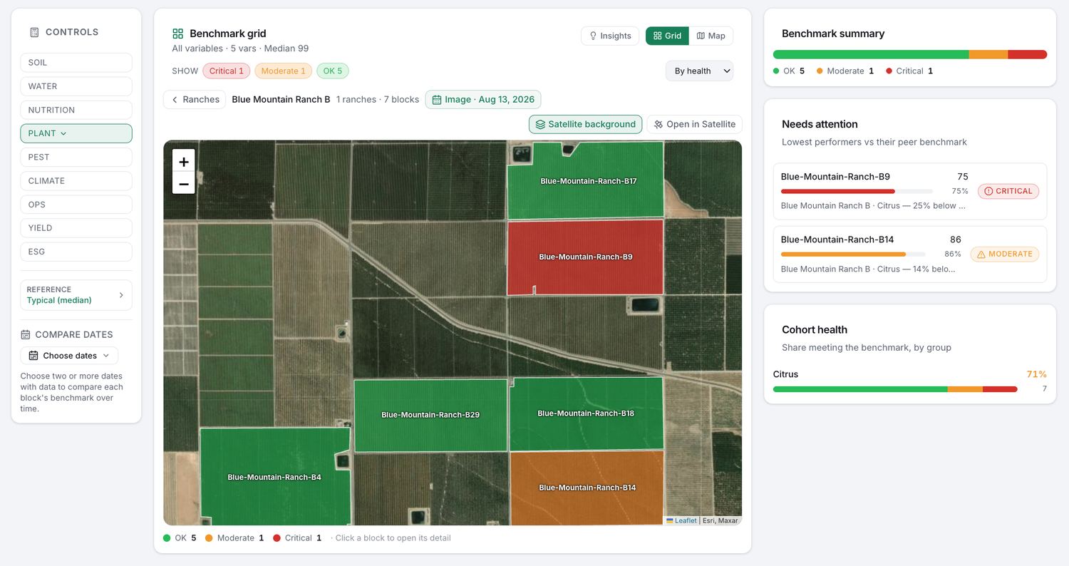 Block health map — every block scored and colored against its peer benchmark over satellite imagery